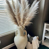 Dried Pampas Grass Plumes 10 Piece Set Natural Elegant Home Decor