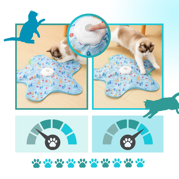 Smart Motion Kitten Teething Feather Toy For Interactive Indoor Play
