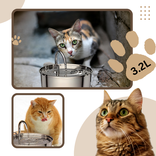 Large Capacity Cat Water Fountain for Hydration and Quiet Operation