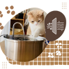 Large Capacity Cat Water Fountain for Hydration and Quiet Operation