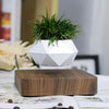 Levitating Magnetic Flower Pot Mid Air Plant Display For Home Office Decor