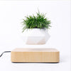 Levitating Magnetic Flower Pot Mid Air Plant Display For Home Office Decor