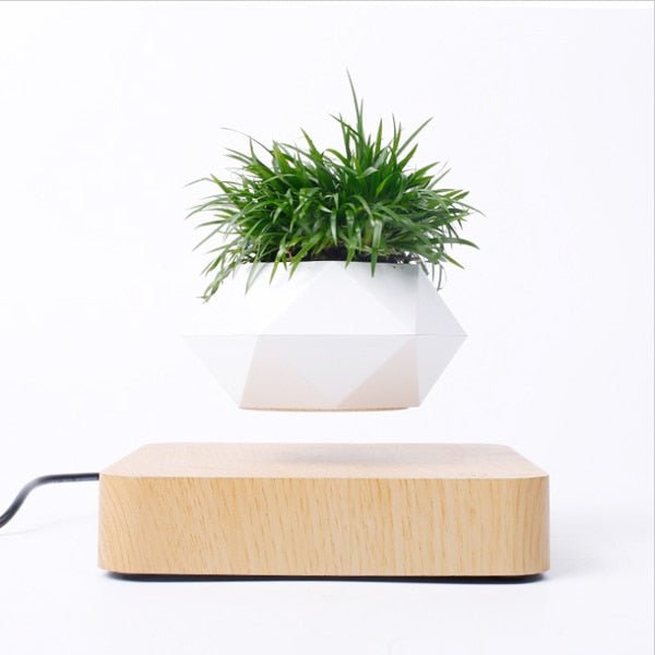 Levitating Magnetic Flower Pot Mid Air Plant Display For Home Office Decor