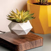 Levitating Magnetic Flower Pot Mid Air Plant Display For Home Office Decor