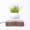 Levitating Magnetic Flower Pot Mid Air Plant Display For Home Office Decor