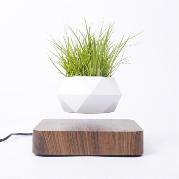 Levitating Magnetic Flower Pot Mid Air Plant Display For Home Office Decor