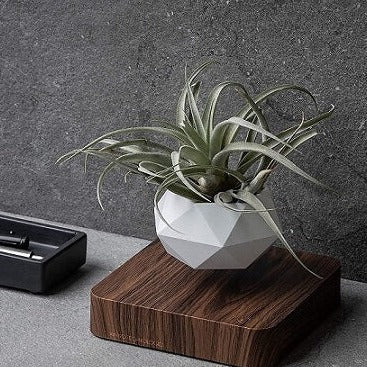 Levitating Magnetic Flower Pot Mid Air Plant Display For Home Office Decor