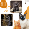 Cat Grooming Slicker Brush With Massage And Water Spray