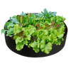 Breathable Planting Bags For Urban Gardens Durable Reusable