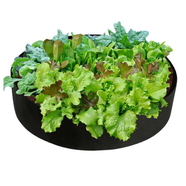 Breathable Planting Bags For Urban Gardens Durable Reusable