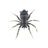 Lifelike Movement Spider Lures for Freshwater and Saltwater Fishing