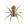 Lifelike Movement Spider Lures for Freshwater and Saltwater Fishing