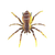 Lifelike Movement Spider Lures for Freshwater and Saltwater Fishing
