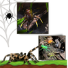 Lifelike Movement Spider Lures for Freshwater and Saltwater Fishing