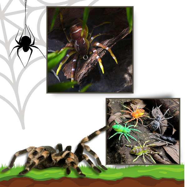 Lifelike Movement Spider Lures for Freshwater and Saltwater Fishing