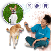 Pet Oral Care Gel Plaque Removal Tartar Elimination and Fresh Breath