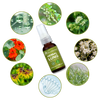 Plant Based Herbal Cleansing Spray For Throat Comfort And Relaxation