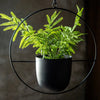 Modern Minimalist Iron Hanging Plant Pot Metal Indoor Outdoor Decor