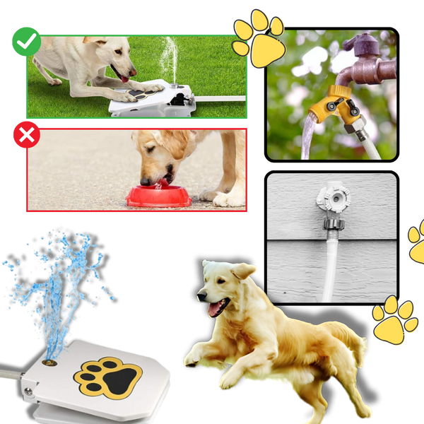 Paw Operated Dog Water Fountain Delivers Fresh Hydration On Demand