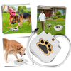Paw Operated Dog Water Fountain Delivers Fresh Hydration On Demand