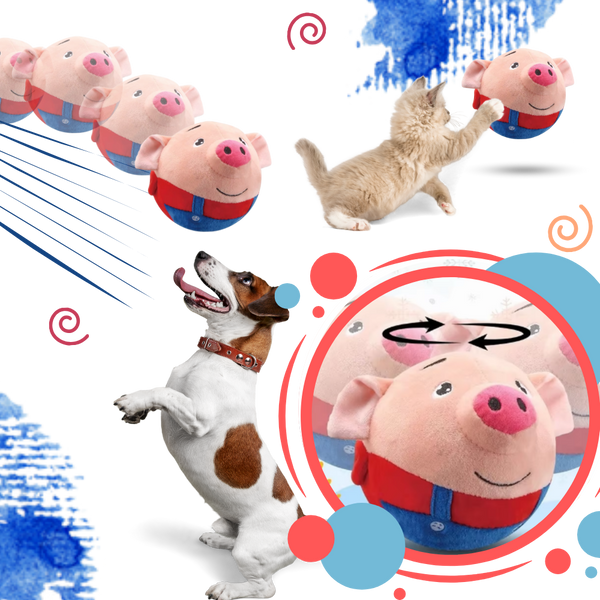 Motion Activated Pet Toy With Bounce Sensor For Engagement And Anxiety Relief