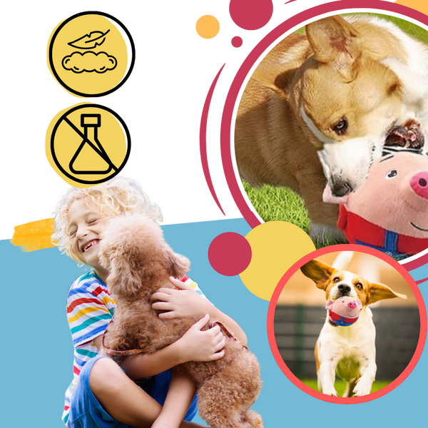 Motion Activated Pet Toy With Bounce Sensor For Engagement And Anxiety Relief