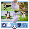 Breathable Waterproof Dog Paw Boots With Non Slip All Weather Protection