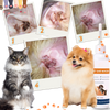Pet Ear Odor Control Solution For Fresh Ears Daily Care