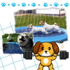 Portable Dog Splash Pad for Easy Setup and Cooling Fun and Agility