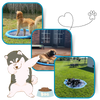 Portable Dog Splash Pad for Easy Setup and Cooling Fun and Agility