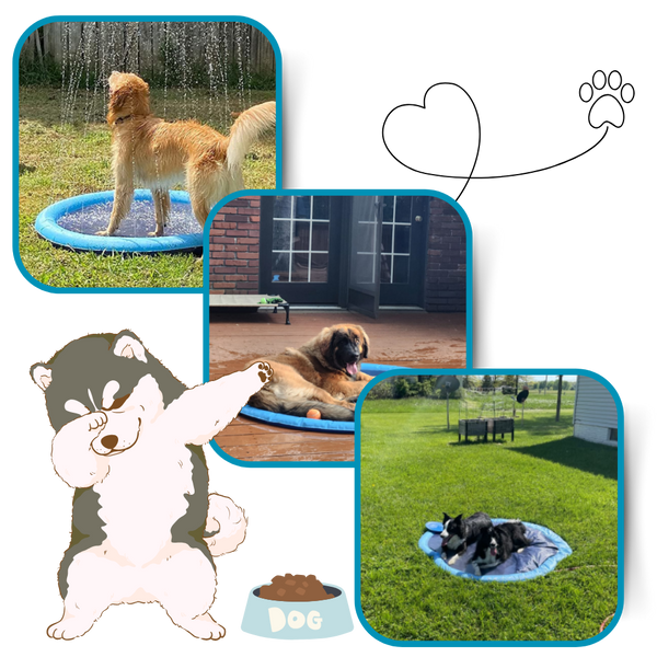 Portable Dog Splash Pad for Easy Setup and Cooling Fun and Agility