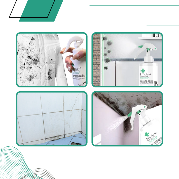 Mold And Mildew Remover Spray For Deep Clean And Regrowth Prevention