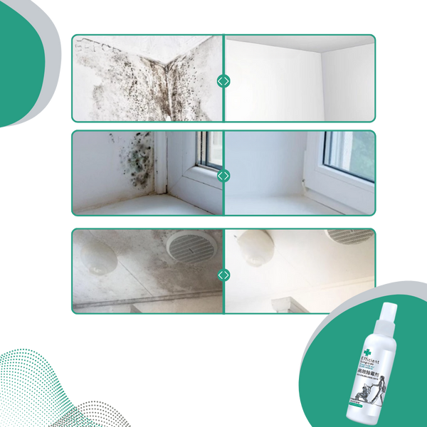 Mold And Mildew Remover Spray For Deep Clean And Regrowth Prevention