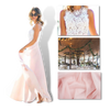Graceful Lace Chiffon Dress With Empire Waist For Timeless Style