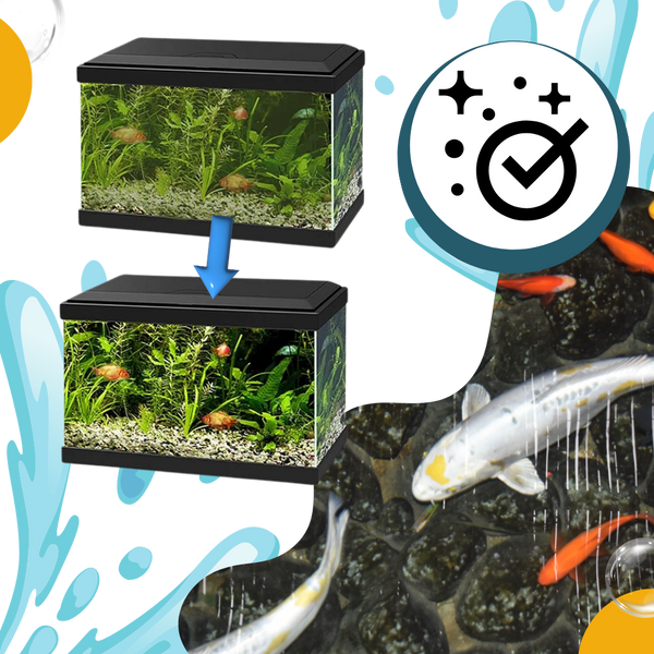 Aquarium Algae Prevention Solution For Clear Safe Water