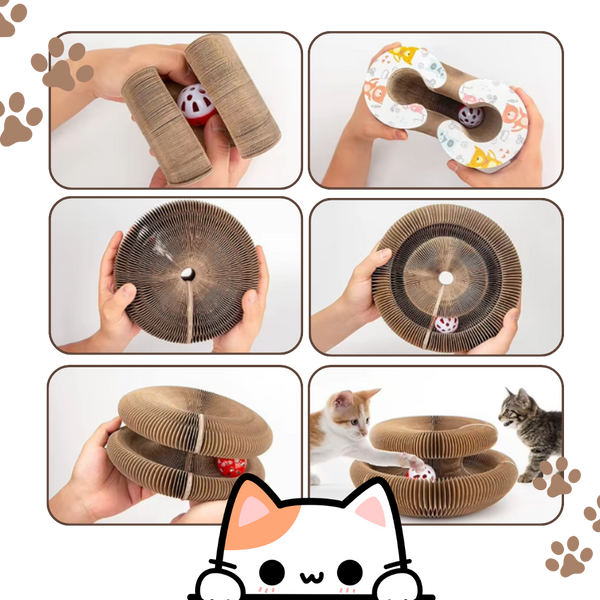 Interactive Cat Scratcher Ball Track for Stress Relief and Fun