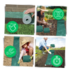 Grass Seed Mat For Rapid Germination And Year Round Green Lawn