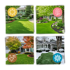 Grass Seed Mat For Rapid Germination And Year Round Green Lawn