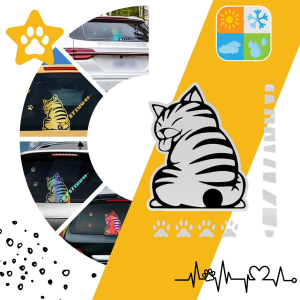 Cat Wiper Decal For Nighttime Visibility With Glow In The Dark