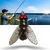 Lifelike Fly Fishing Lure Delivers Realistic Movement For More Bites