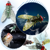 Lifelike Fly Fishing Lure Delivers Realistic Movement For More Bites