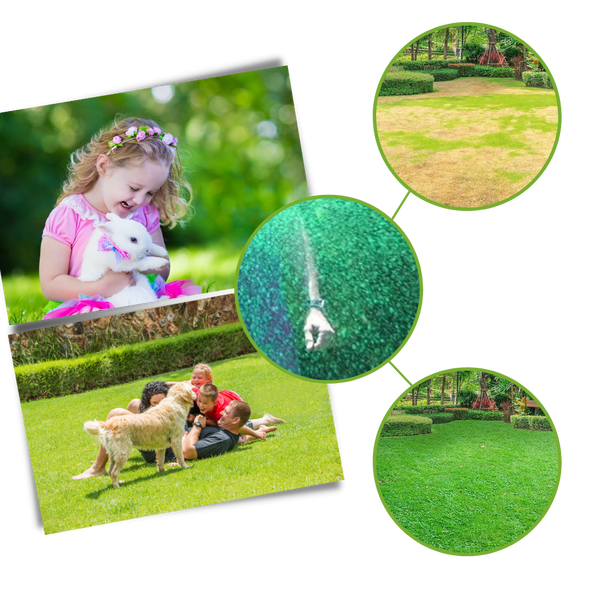 Lawn Care Spray For Effortless Vibrant Green Grass