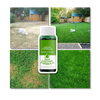 Lawn Care Spray For Effortless Vibrant Green Grass
