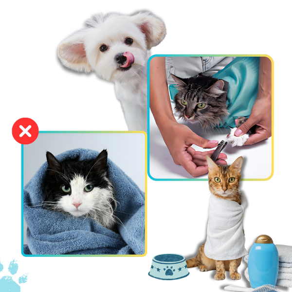 Calm Transit Cat Travel Bag For Stress Free Vet Visits And Comfort