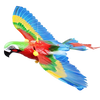 Ceiling Mounted Bird Mimic Cat Toy For Active Play And Exercise