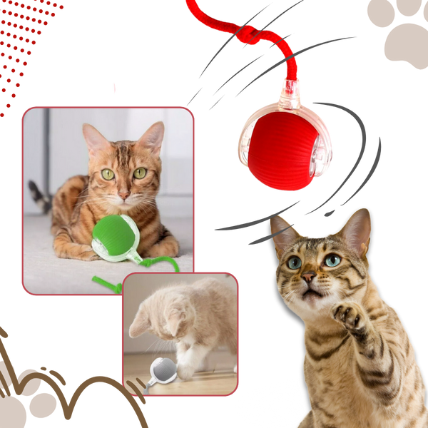 Premium Smart Interactive Cat Ball Toy With Dynamic Motion And Obstacle Avoidance