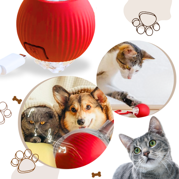 Premium Smart Interactive Cat Ball Toy With Dynamic Motion And Obstacle Avoidance