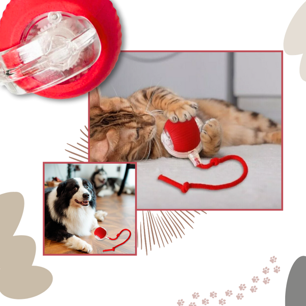 Premium Smart Interactive Cat Ball Toy With Dynamic Motion And Obstacle Avoidance