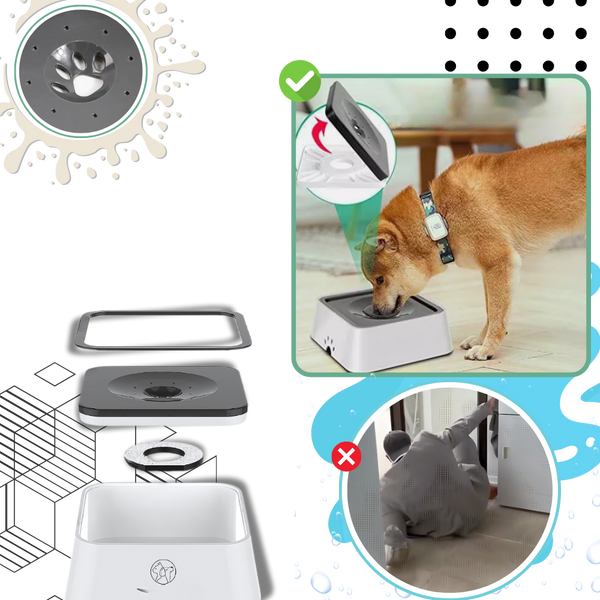 Splash Free Dog Water Bowl With Built In Filter For Clean Drinking