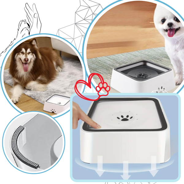 Splash Free Dog Water Bowl With Built In Filter For Clean Drinking